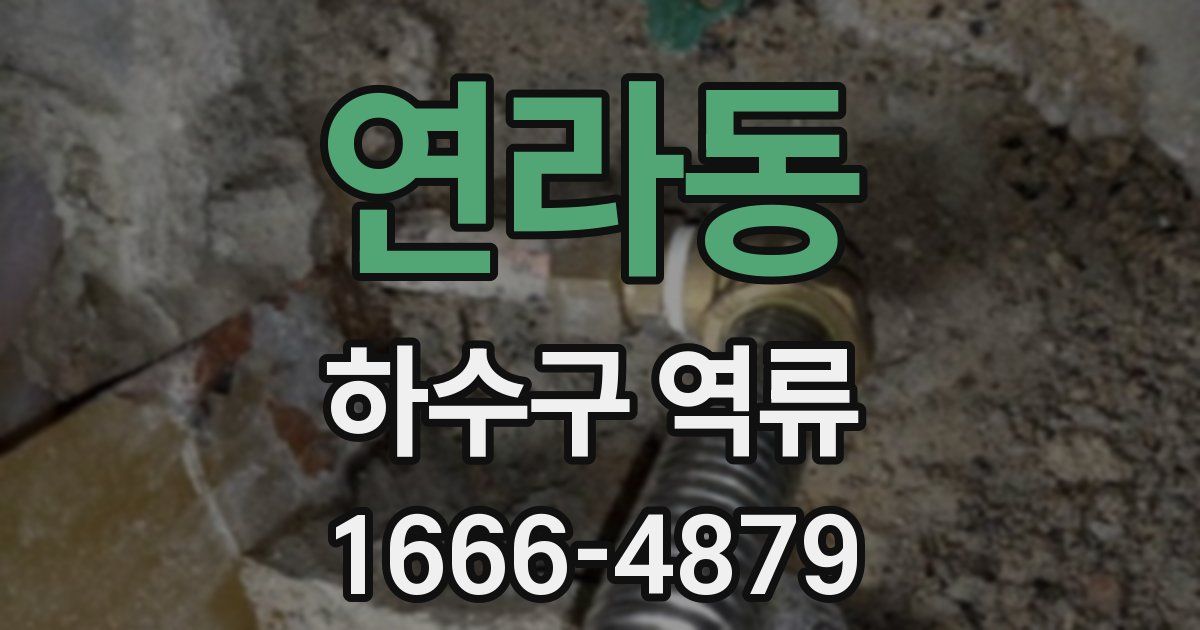 연라동 하수구 역류