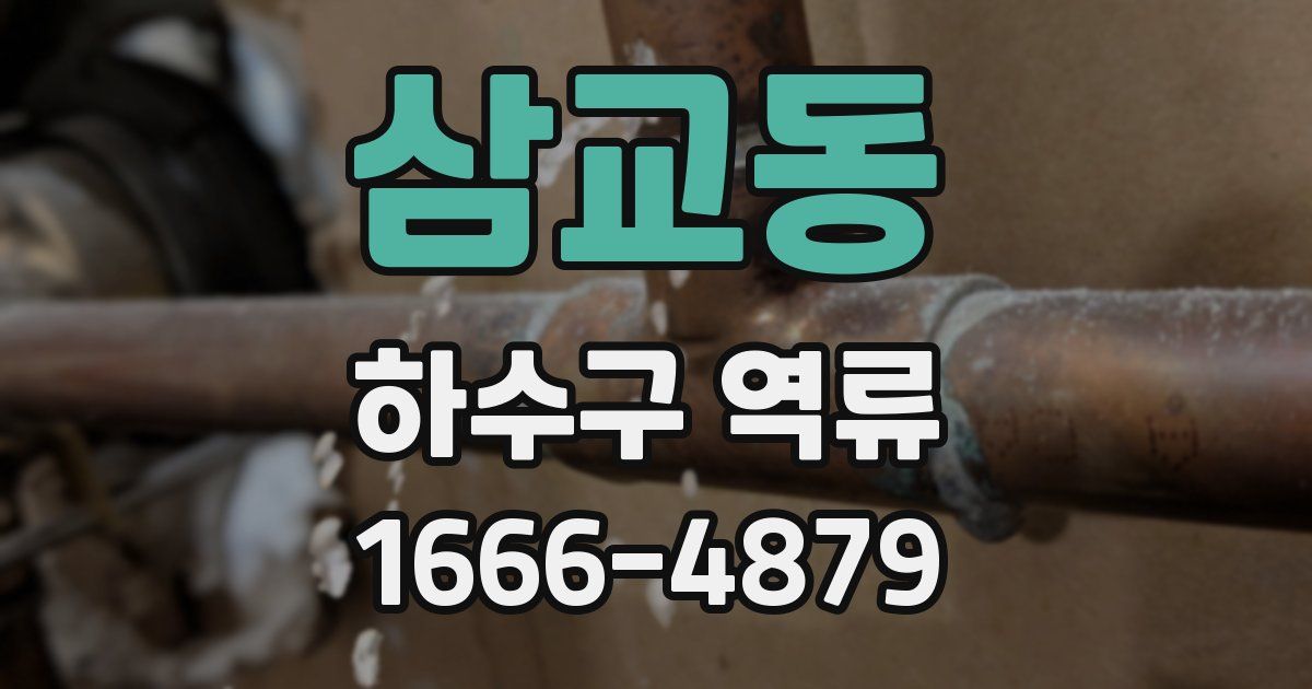 삼교동 하수구 역류