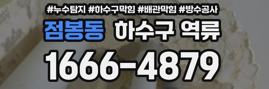 점봉동 하수구 역류