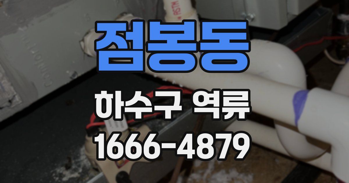 점봉동 하수구 역류