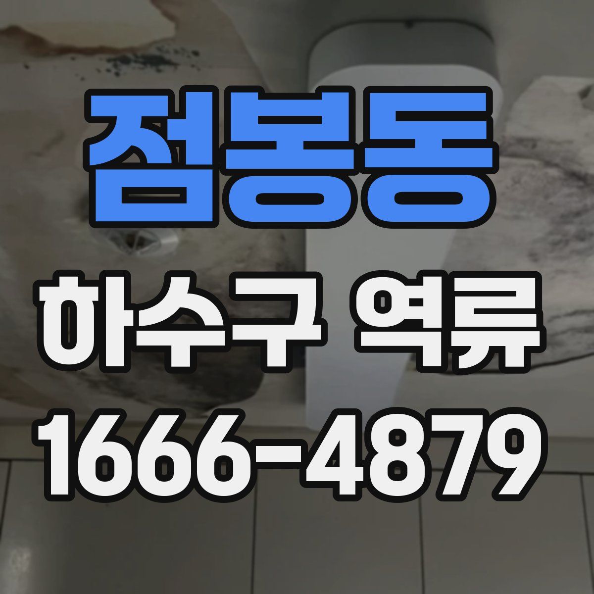 점봉동 하수구 역류