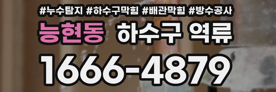 능현동 하수구 역류