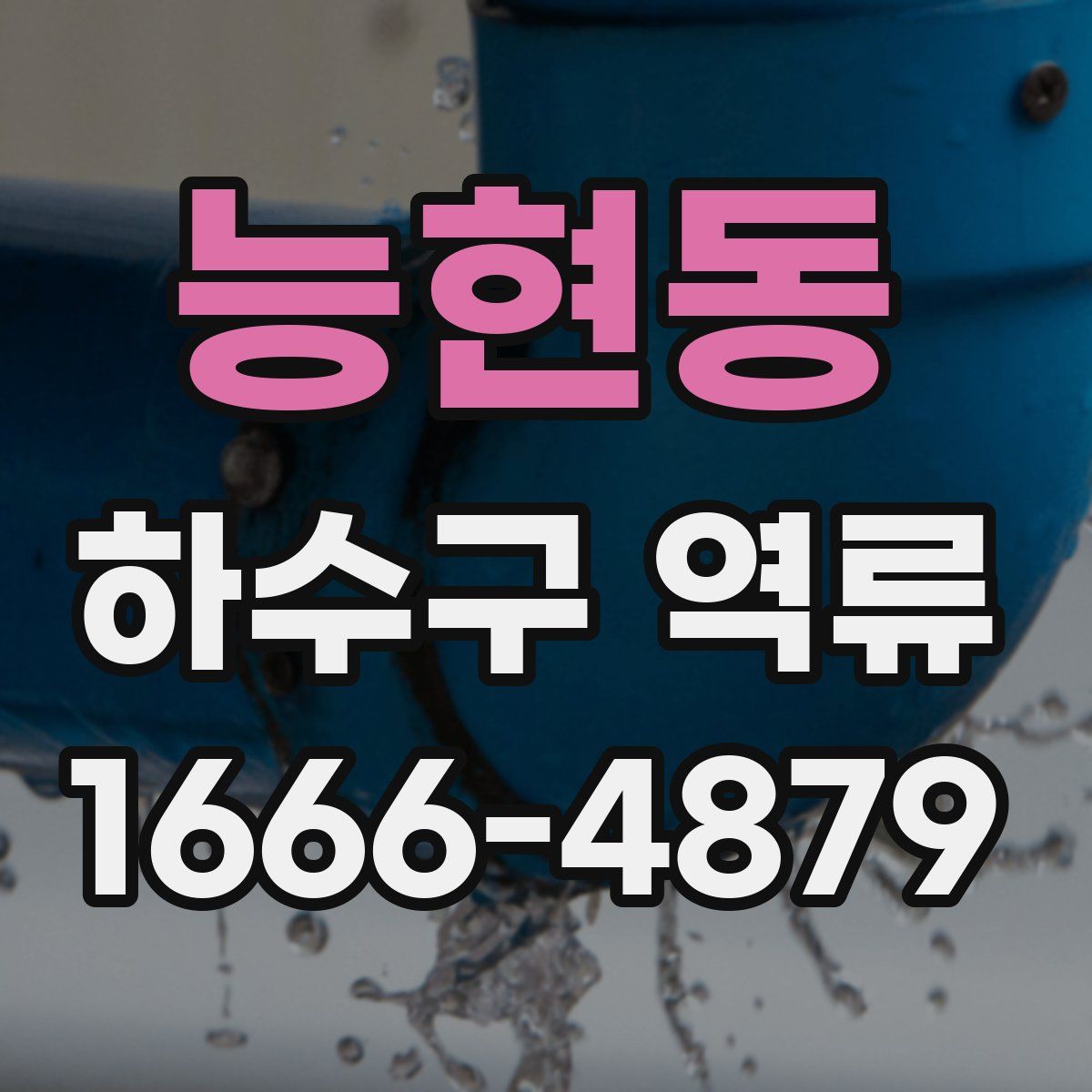 능현동 하수구 역류