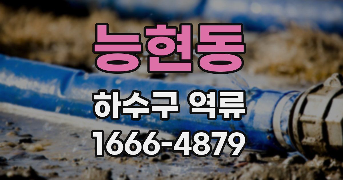 능현동 하수구 역류