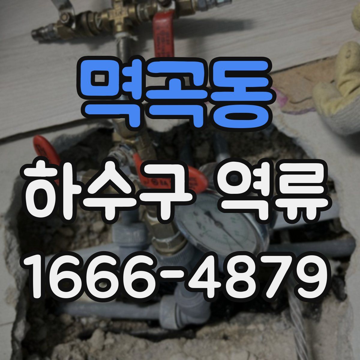멱곡동 하수구 역류