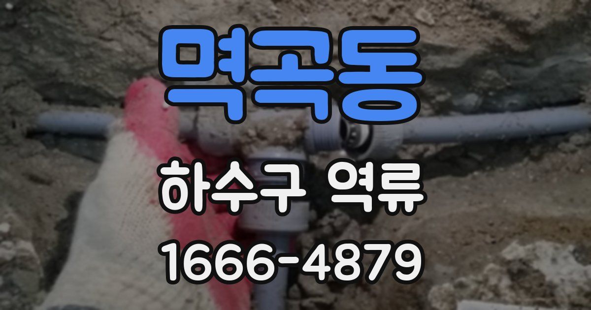 멱곡동 하수구 역류