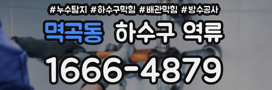 멱곡동 하수구 역류