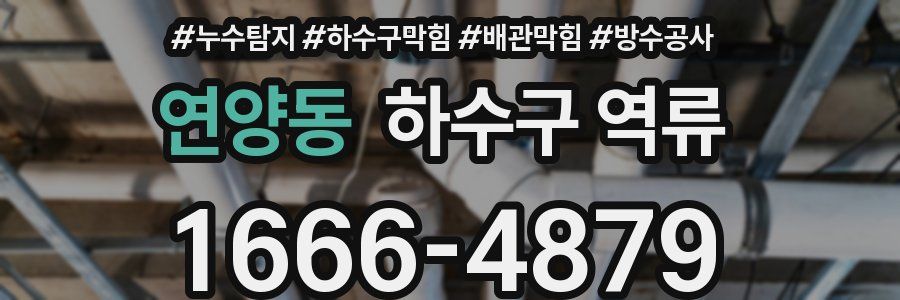 연양동 하수구 역류