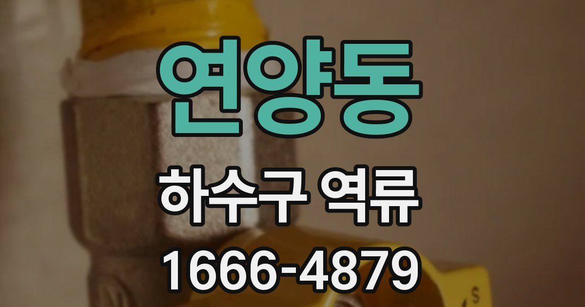 연양동 하수구 역류