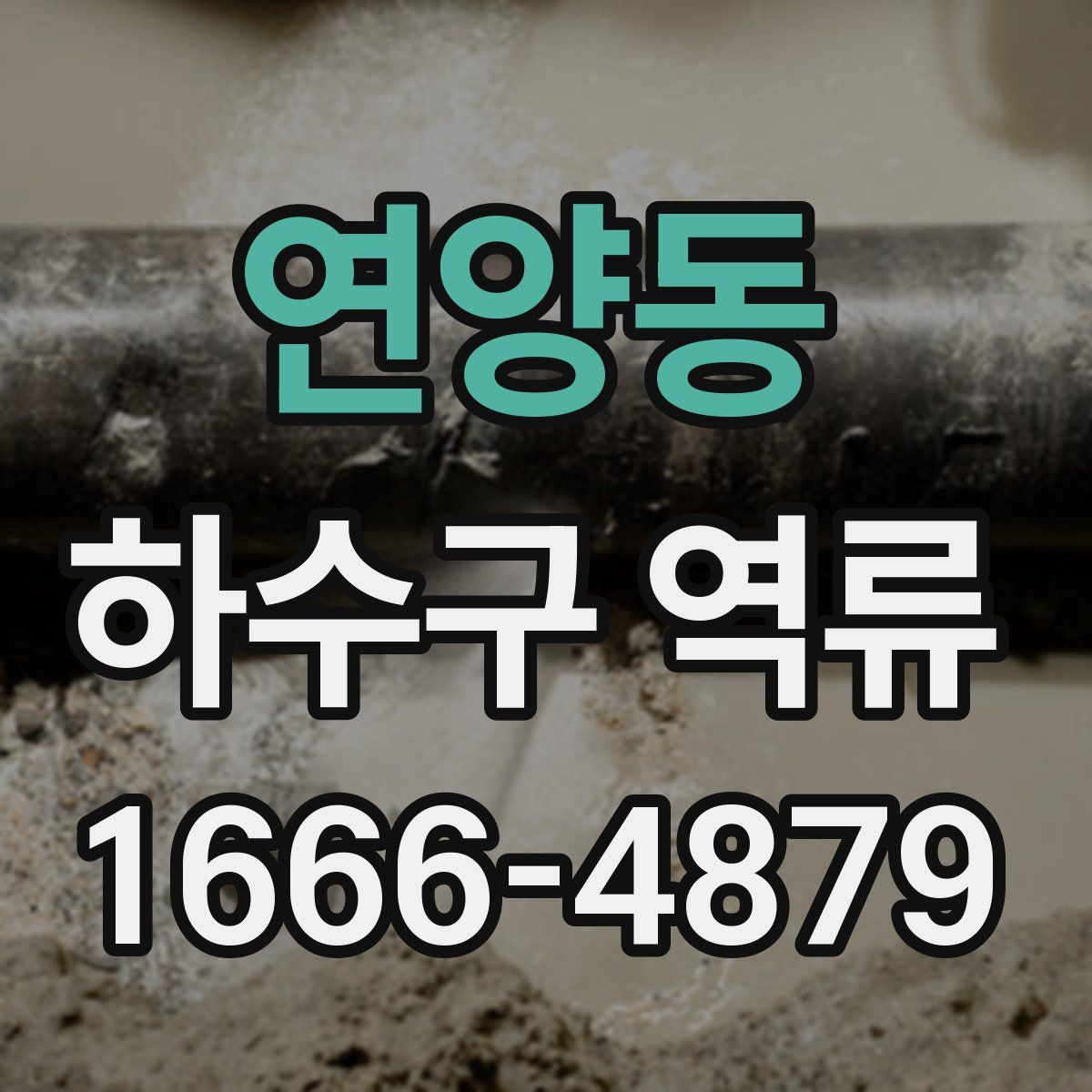 연양동 하수구 역류