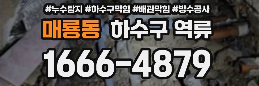 매룡동 하수구 역류