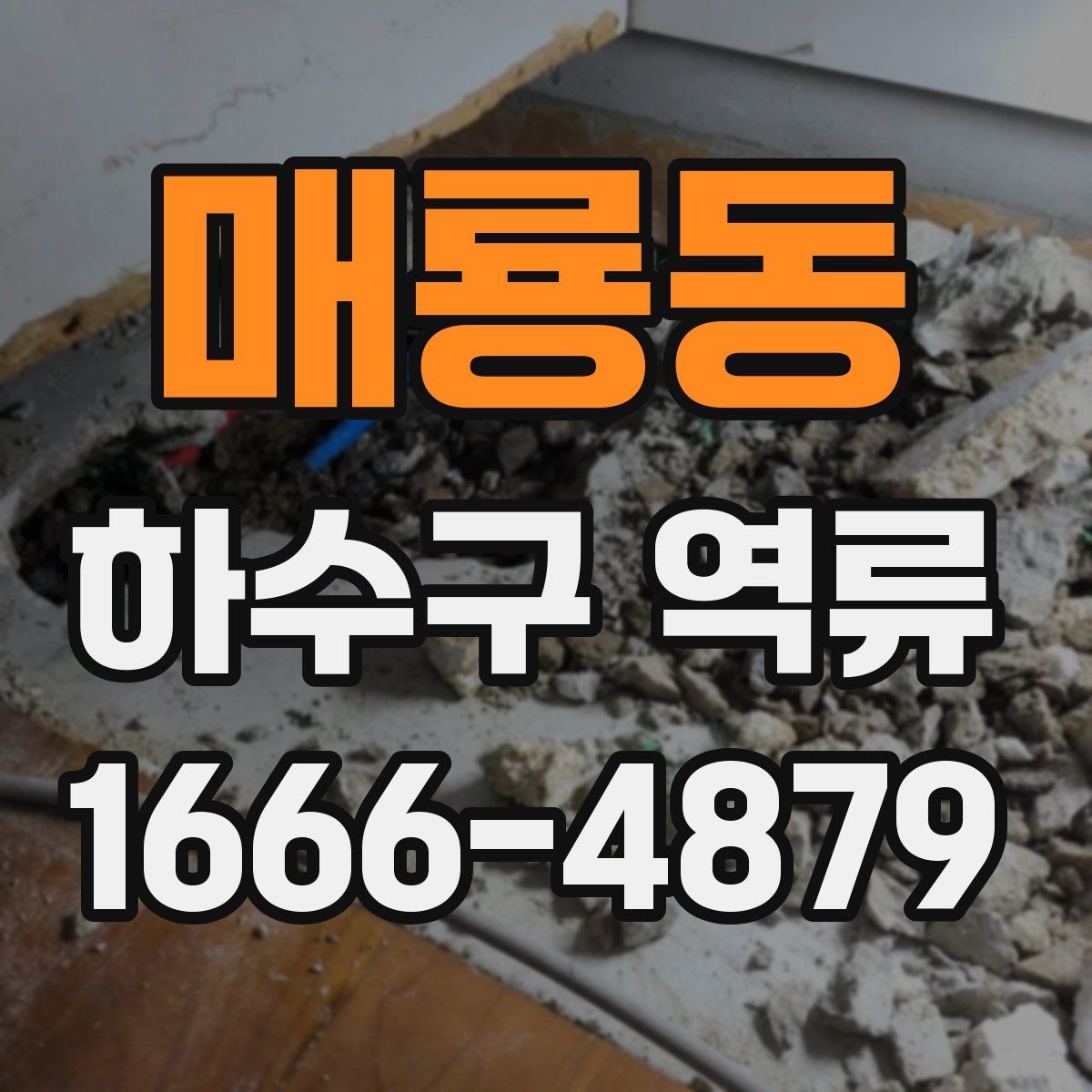 매룡동 하수구 역류