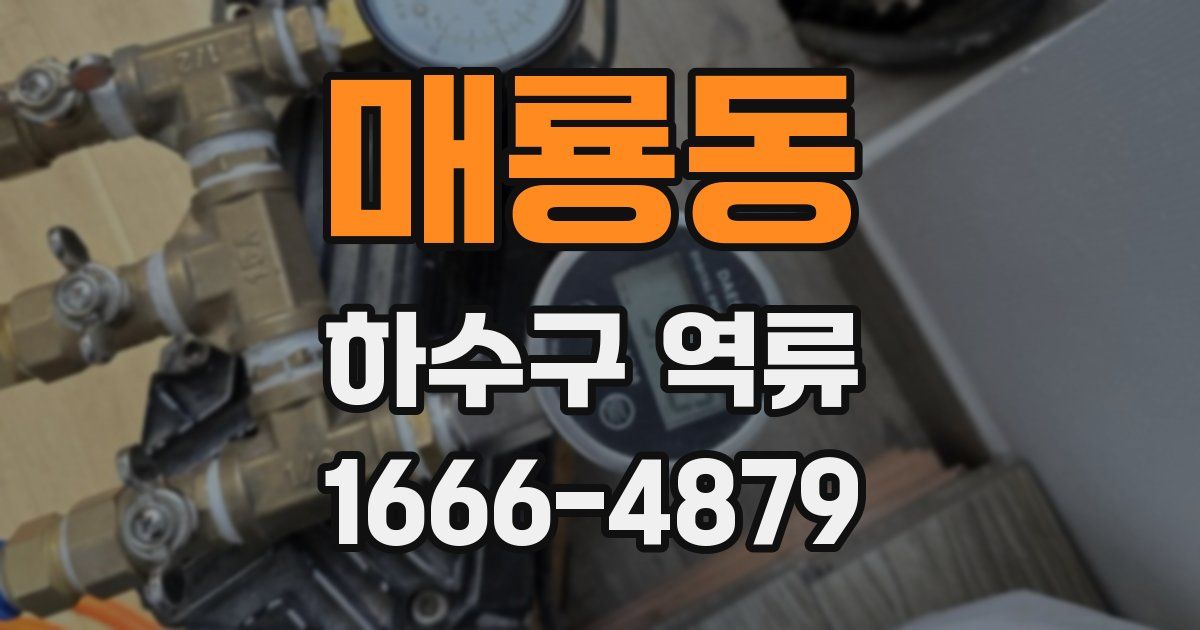매룡동 하수구 역류