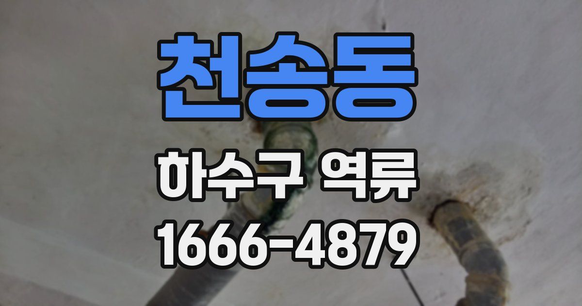 천송동 하수구 역류