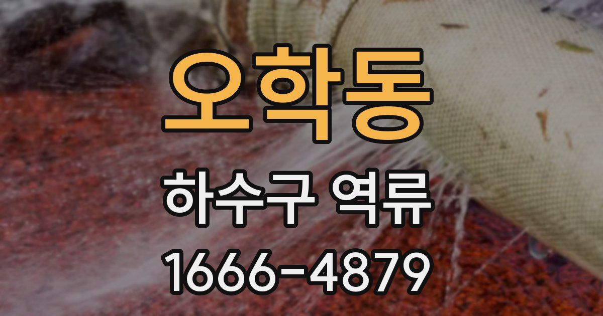 오학동 하수구 역류