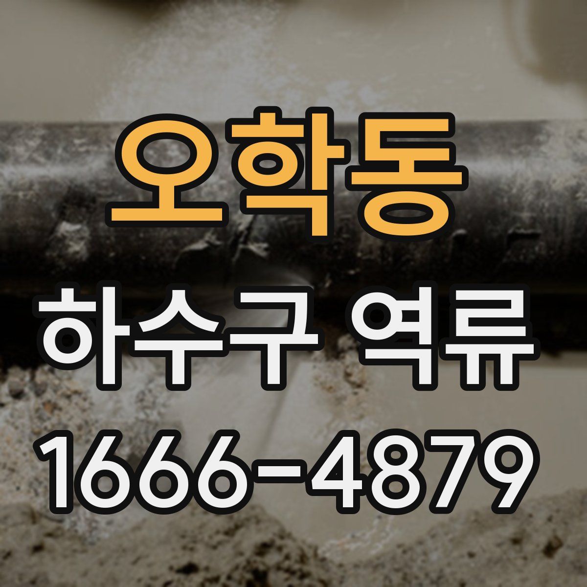 오학동 하수구 역류