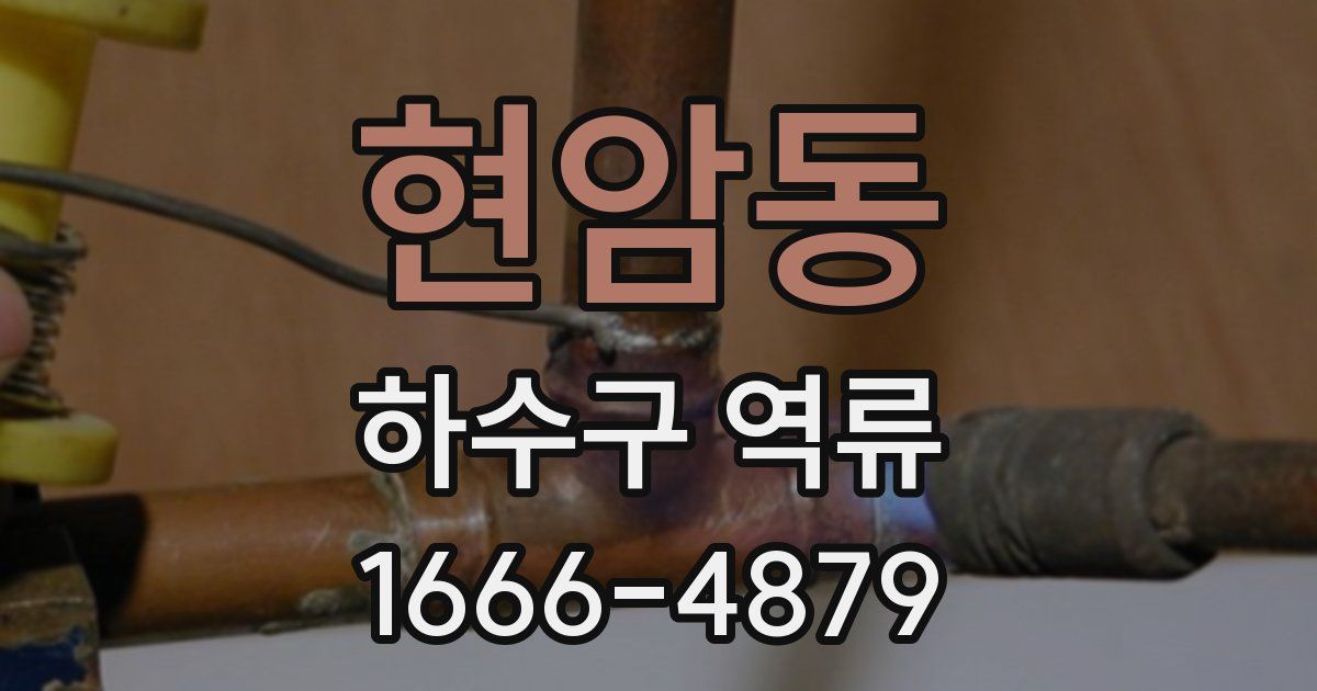 현암동 하수구 역류