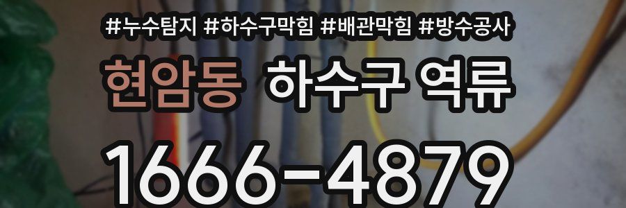 현암동 하수구 역류