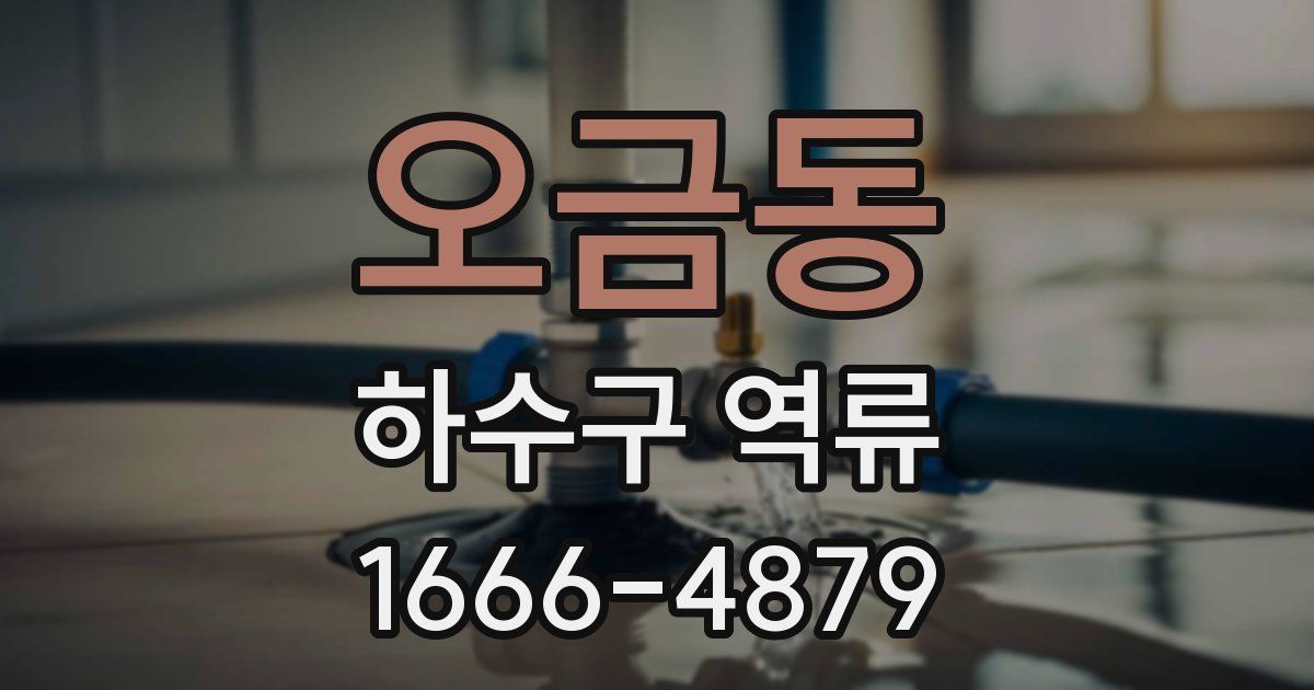 오금동 하수구 역류