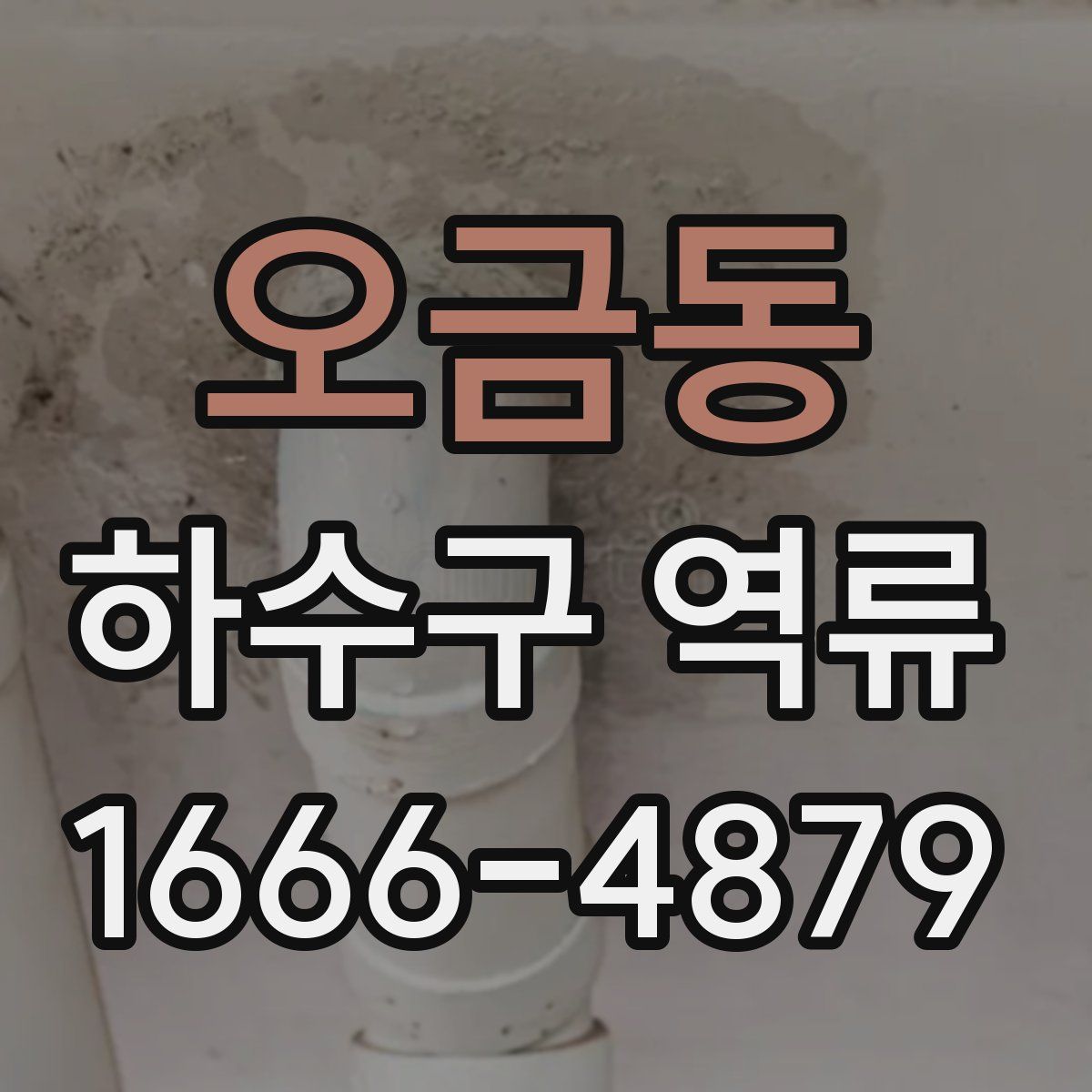 오금동 하수구 역류