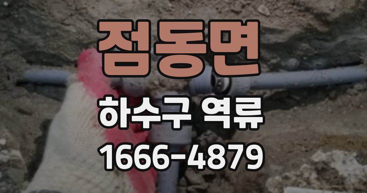 점동면 하수구 역류