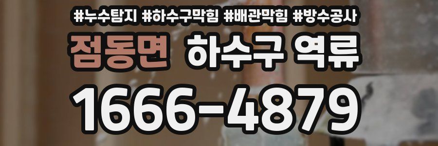 점동면 하수구 역류