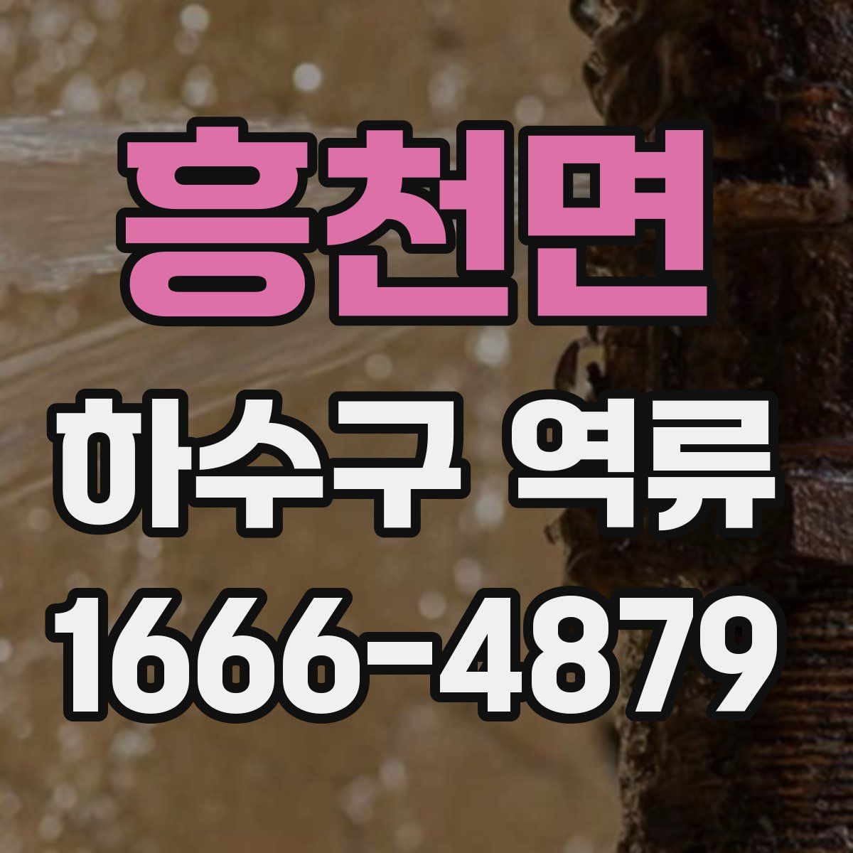 흥천면 하수구 역류