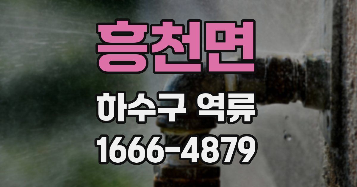 흥천면 하수구 역류