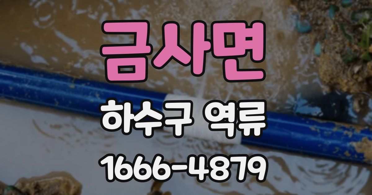 금사면 하수구 역류