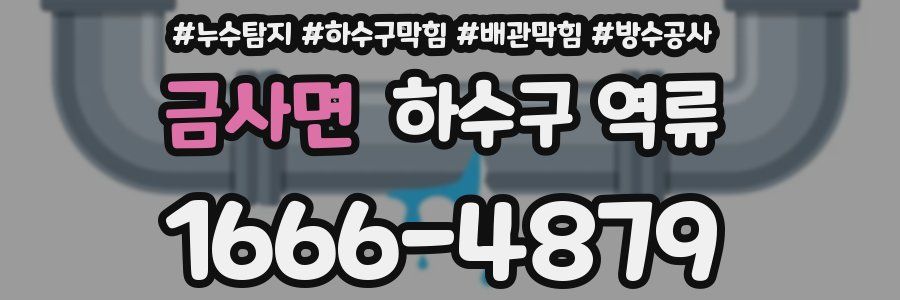 금사면 하수구 역류