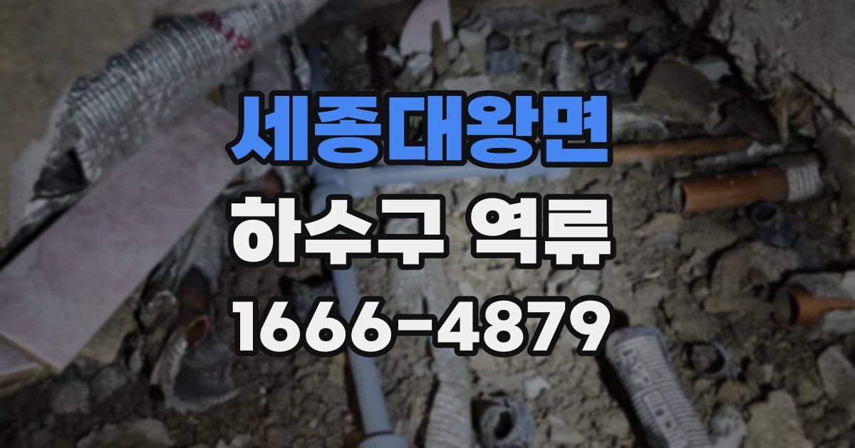 세종대왕면 하수구 역류