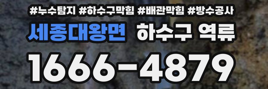 세종대왕면 하수구 역류