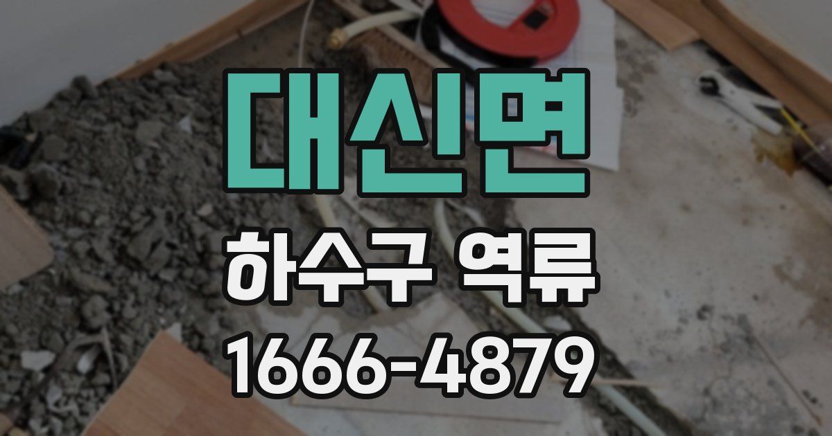 대신면 하수구 역류