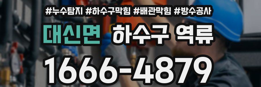 대신면 하수구 역류