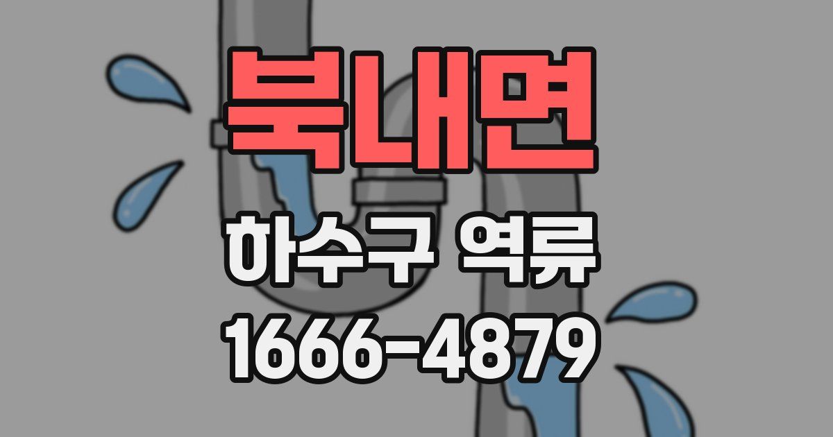 북내면 하수구 역류
