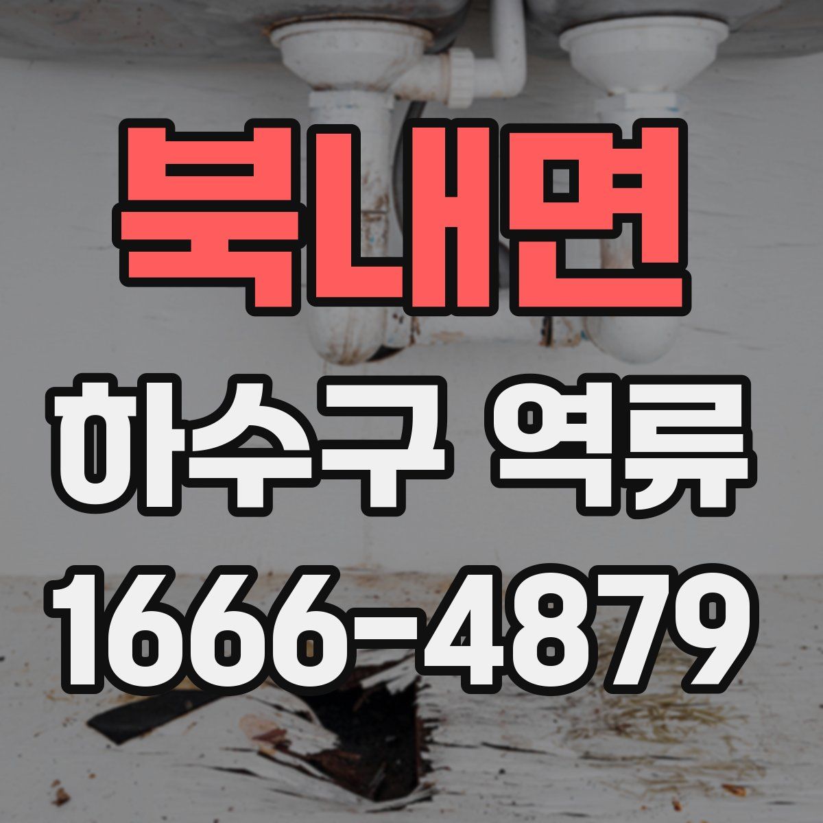 북내면 하수구 역류