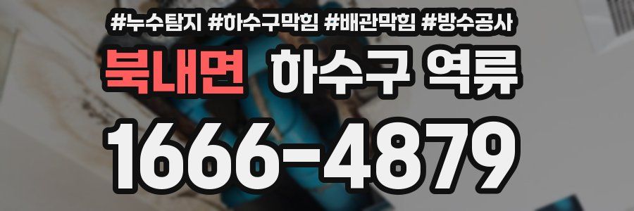 북내면 하수구 역류