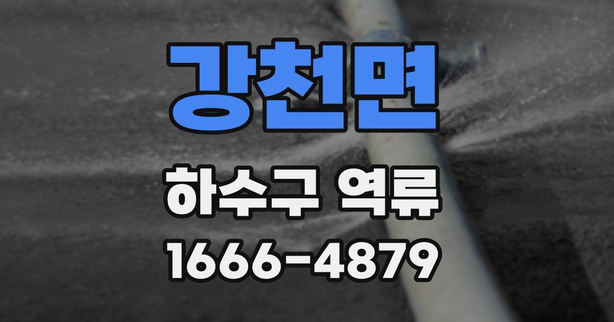 강천면 하수구 역류