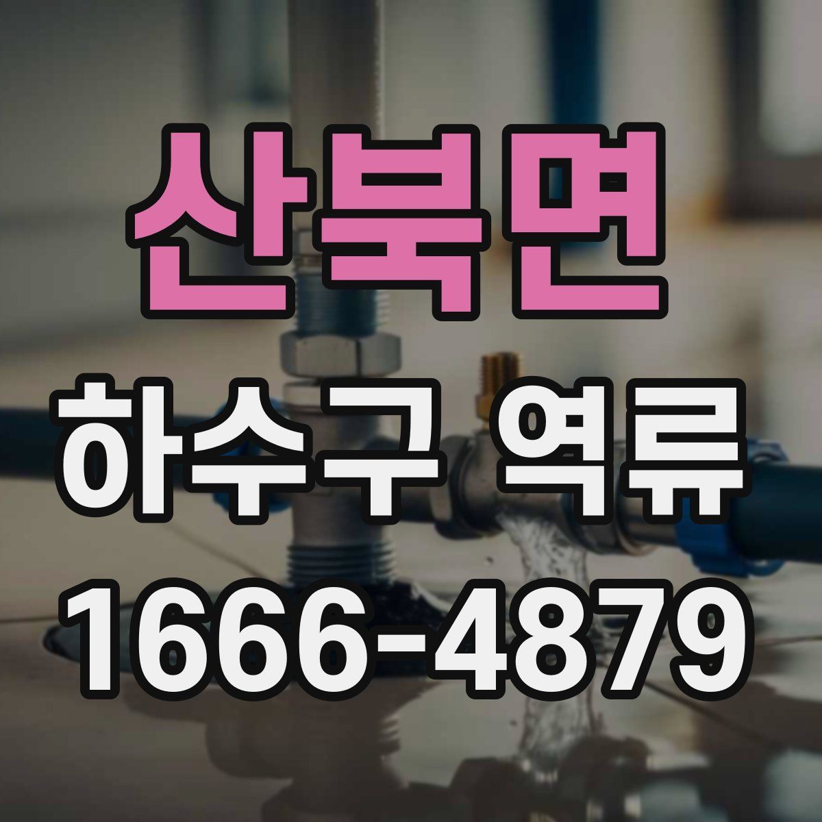 산북면 하수구 역류