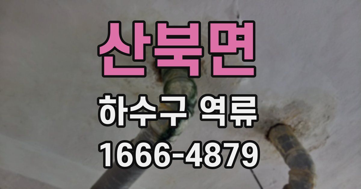 산북면 하수구 역류