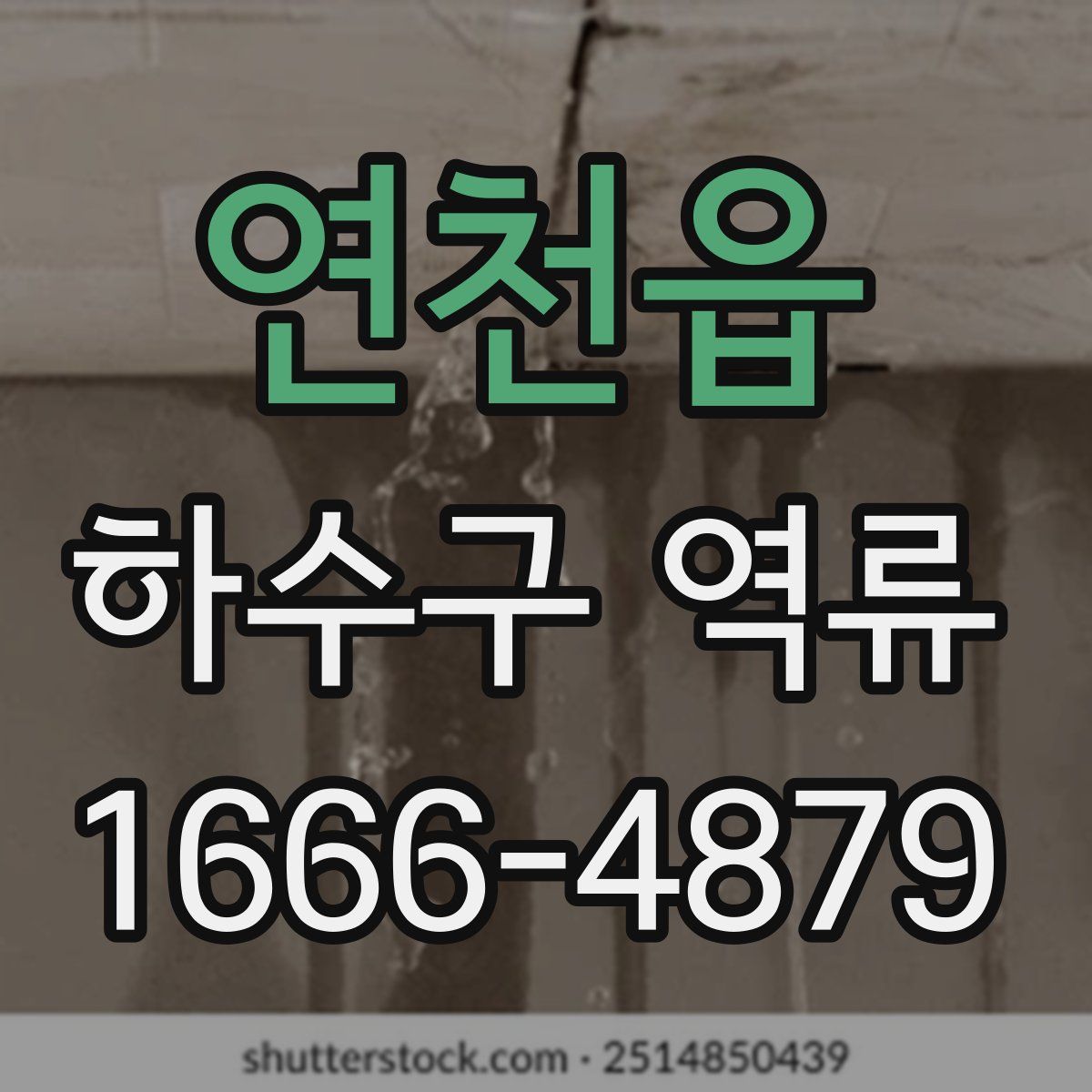 연천읍 하수구 역류