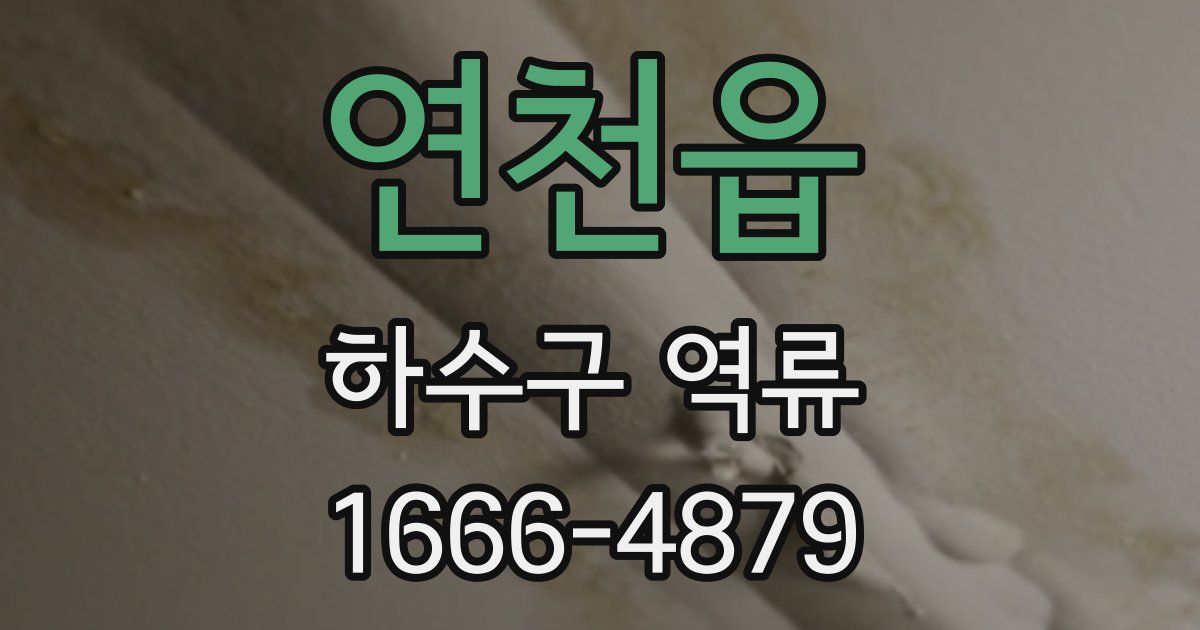 연천읍 하수구 역류