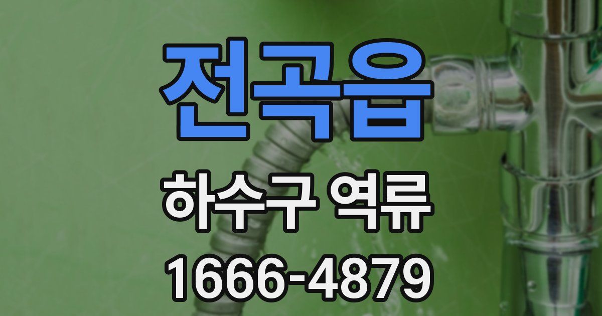전곡읍 하수구 역류