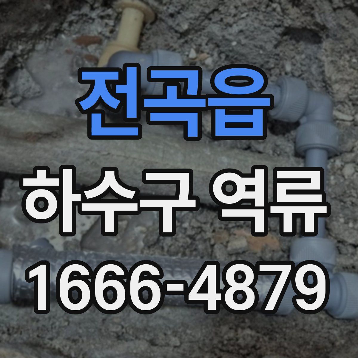전곡읍 하수구 역류