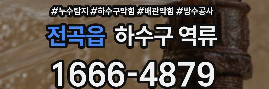 전곡읍 하수구 역류