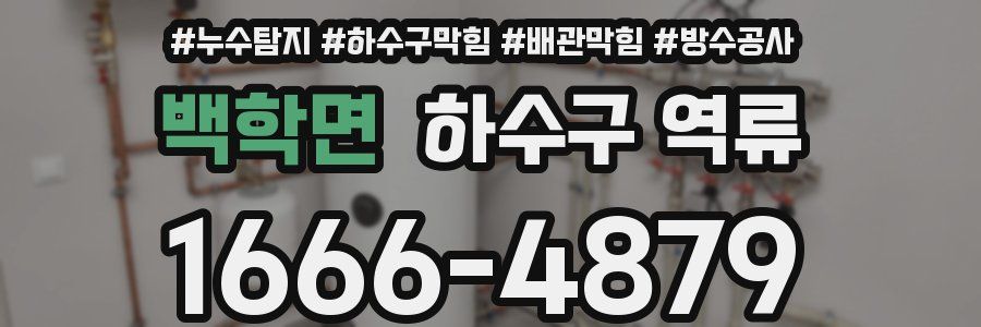 백학면 하수구 역류