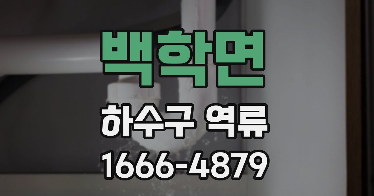 백학면 하수구 역류