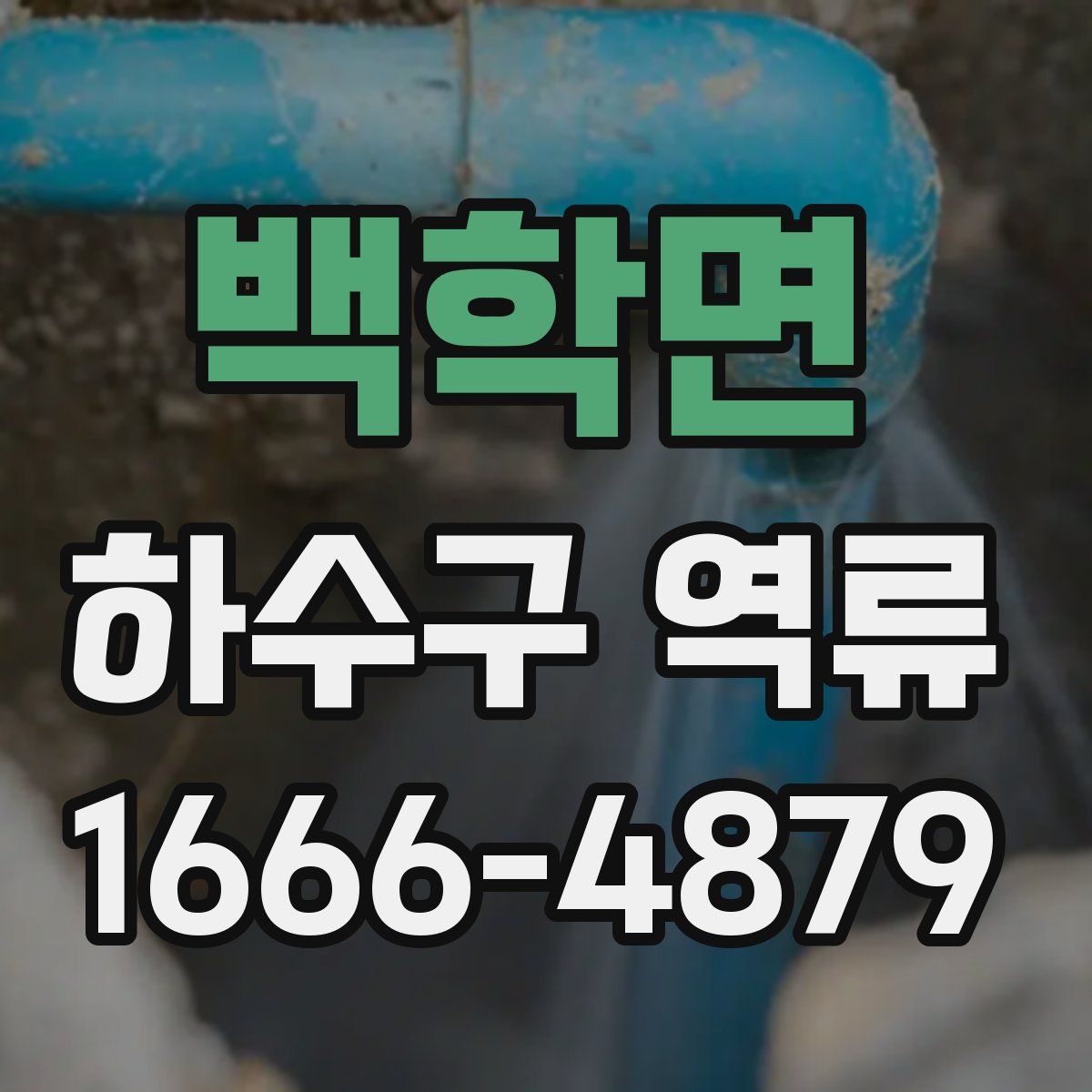 백학면 하수구 역류
