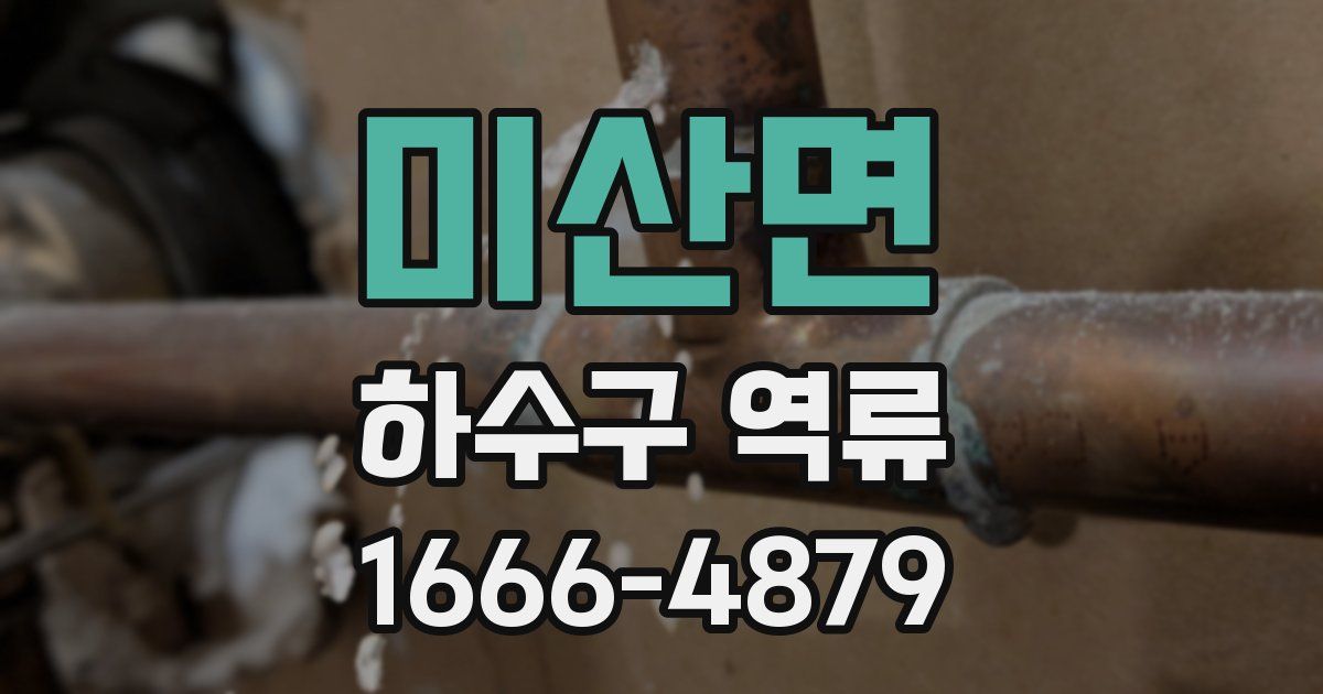 미산면 하수구 역류