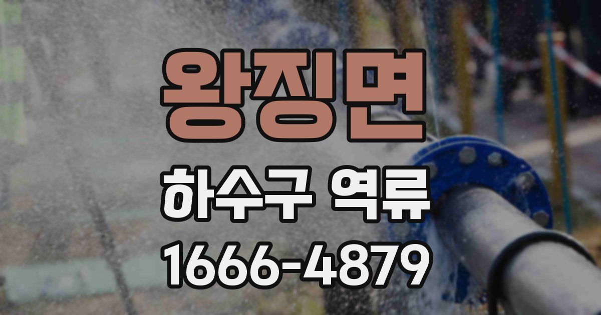 왕징면 하수구 역류